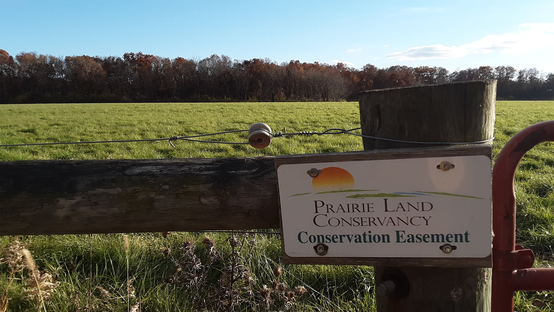 The grazing field on the Dexter Conservation Easement with the forest in the background.