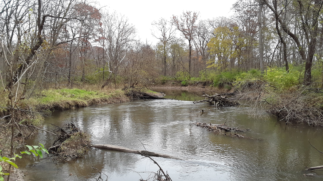 The La Moine River running through the Dee Hinds Conservation Easement.